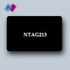 Пластикова картка з чипом NTAG213